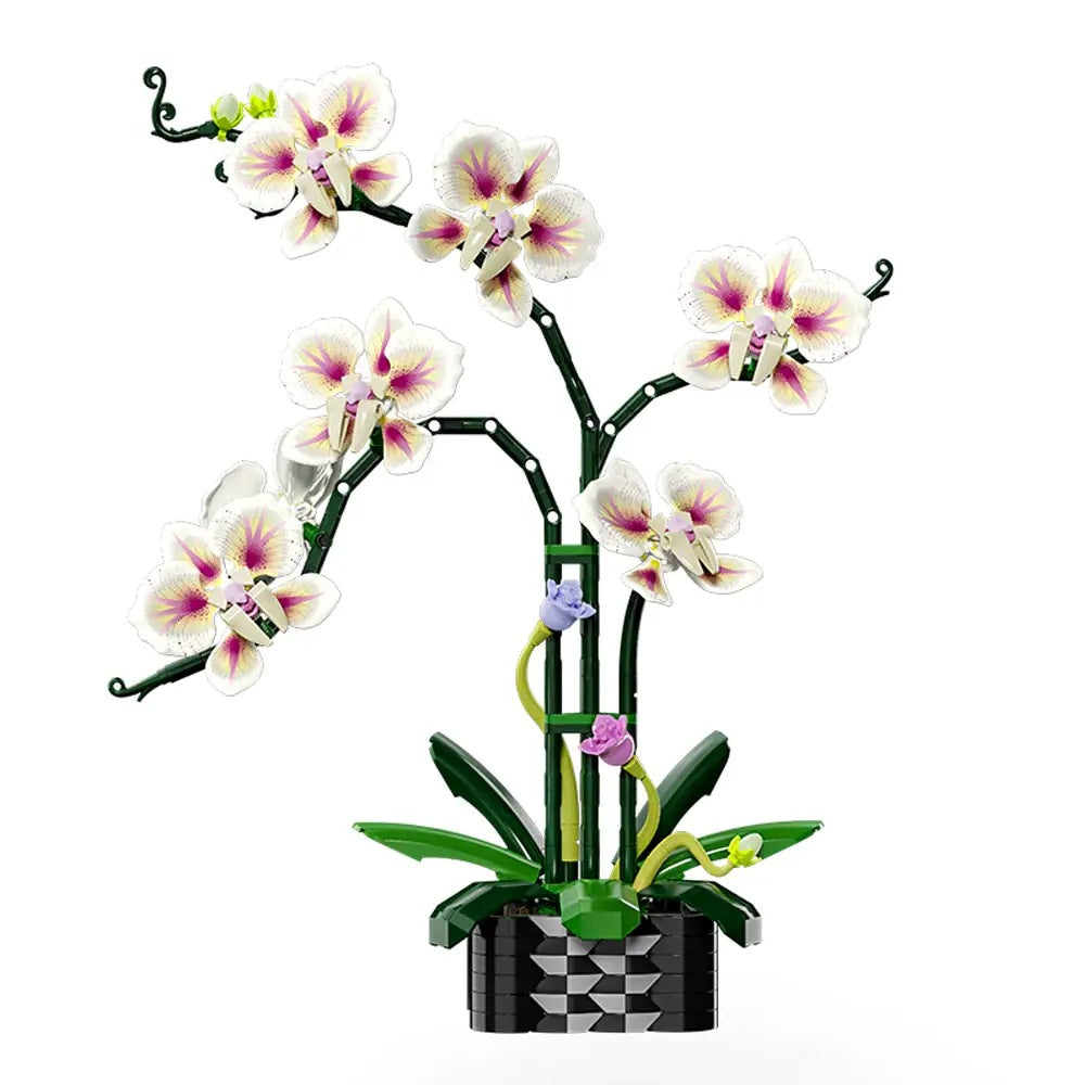 Qidai Cymbidium Orchid – MJI 13113 botanical building set – assembled cymbidium orchid on a white background