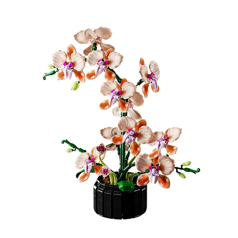 Champagne Phalaenopsis Orchid – MJI 13111 botanical building set – assembled orchid on a white background
