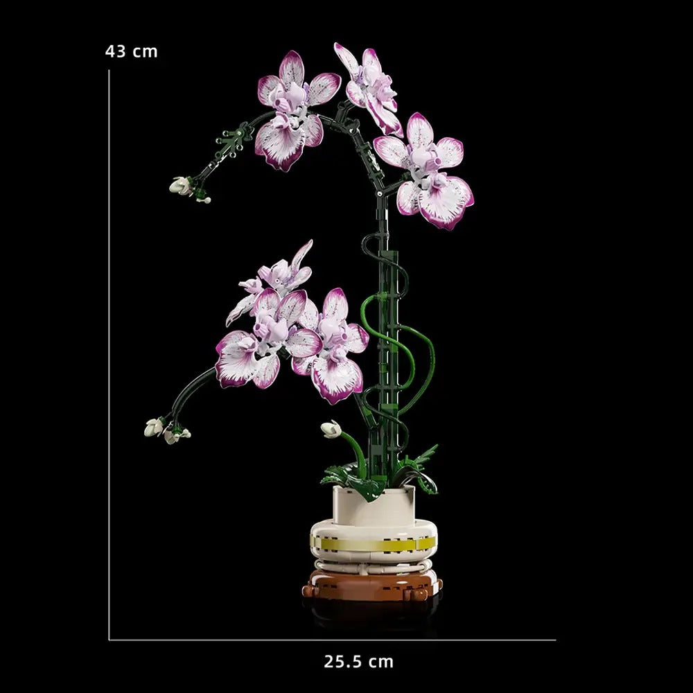 Dancing Lady Orchid – MJI 13114 botanical building set – size diagram of the assembled model (43 x 25.5 cm)