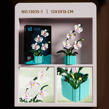 Flower Language Assortment B – MJI 13035 botanical building set – white phalaenopsis orchid stem with its retail box and close-ups