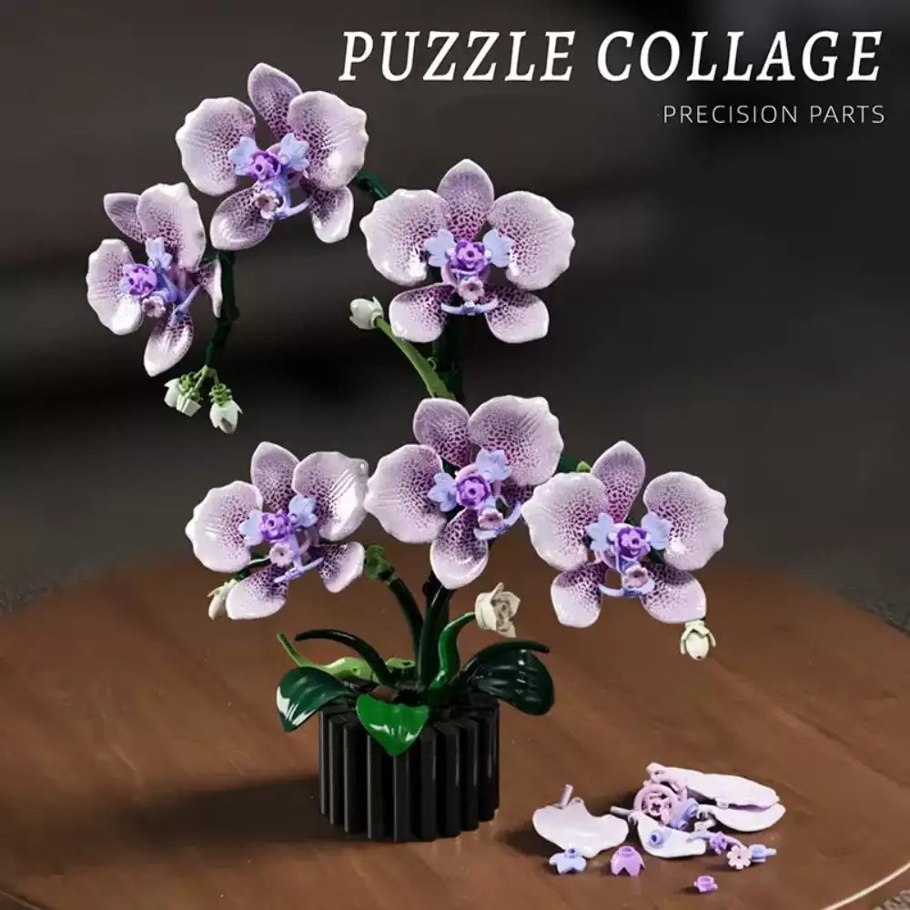 Butterfly Phalaenopsis Orchid – MJI 13115 botanical building set – assembled orchid with loose building pieces beside the pot