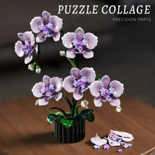 Butterfly Phalaenopsis Orchid – MJI 13115 botanical building set – assembled orchid with loose building pieces beside the pot