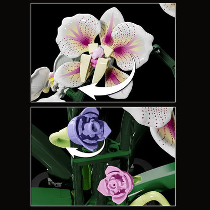 Qidai Cymbidium Orchid – MJI 13113 botanical building set – flower close-ups