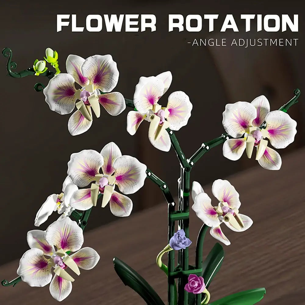 Qidai Cymbidium Orchid – MJI 13113 botanical building set – flower heads that can be rotated and angled