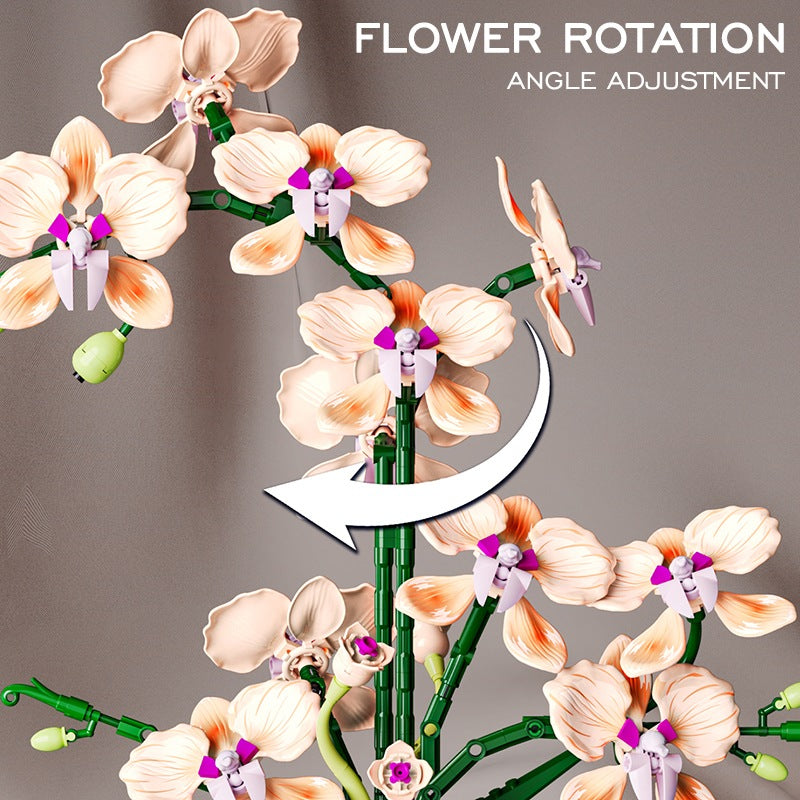 Champagne Phalaenopsis Orchid – MJI 13111 botanical building set – flower heads that can be rotated and angled