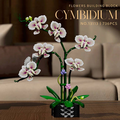 Qidai Cymbidium Orchid – MJI 13113 botanical building set – assembled orchid on a sideboard