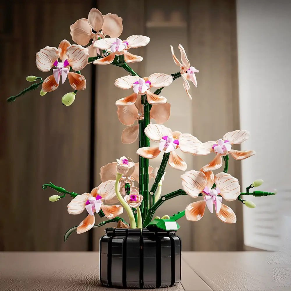 Champagne Phalaenopsis Orchid – MJI 13111 botanical building set – assembled orchid on a table