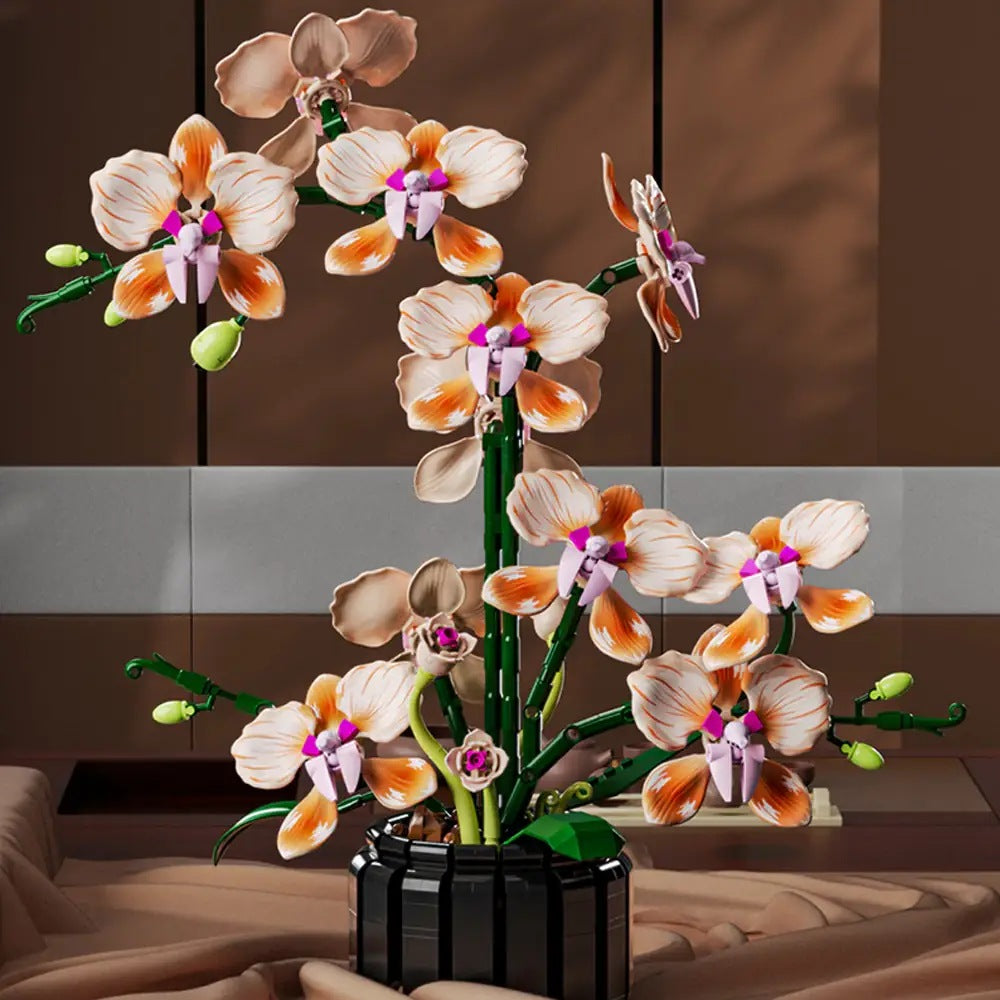 Champagne Phalaenopsis Orchid – MJI 13111 botanical building set – assembled orchid in a home setting