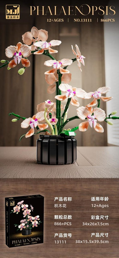 Champagne Phalaenopsis Orchid – MJI 13111 botanical building set – assembled model in a home setting with retail box inset