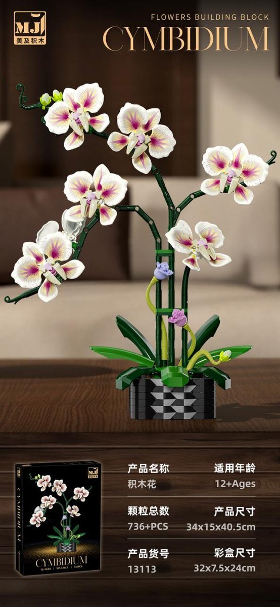 Qidai Cymbidium Orchid – MJI 13113 botanical building set – assembled model in a home setting with retail box inset