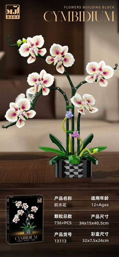 Qidai Cymbidium Orchid – MJI 13113 botanical building set – assembled model in a home setting with retail box inset