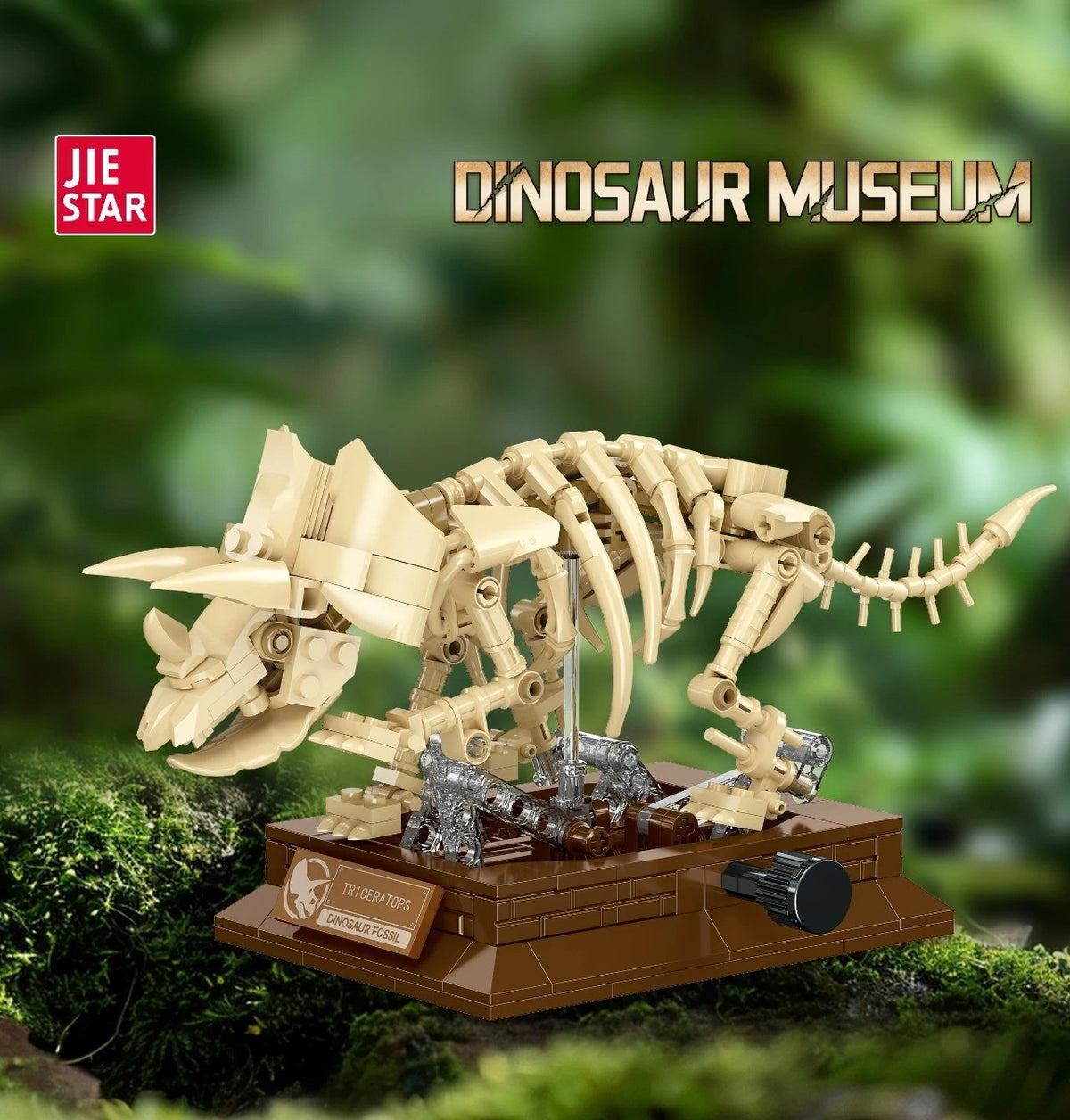 Triceratops Skeleton – JIESTAR 57036 building set – assembled skeleton in a museum display scene