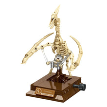 Pterosaur Skeleton – JIESTAR 57038 building set – assembled skeleton on its museum display base
